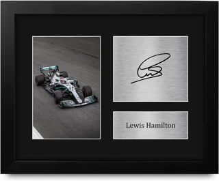 قاب کلکسیونی لوییس همیلتون