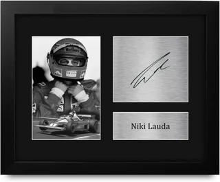 قاب کلکسیونی نیکی لاودا