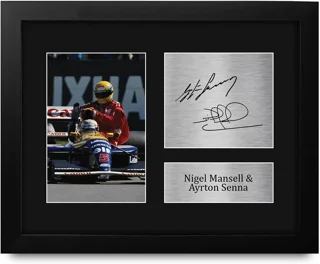 قاب کلکسیونی نایجل منسن و ایرتون سنا