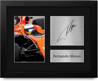 قاب کلکسیونی فرناندو آلونسو