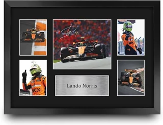 قاب کلکسیونی لندو نوریس