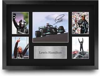 قاب کلکسیونی لوییس همیلتون